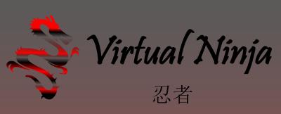 Virtual ninja